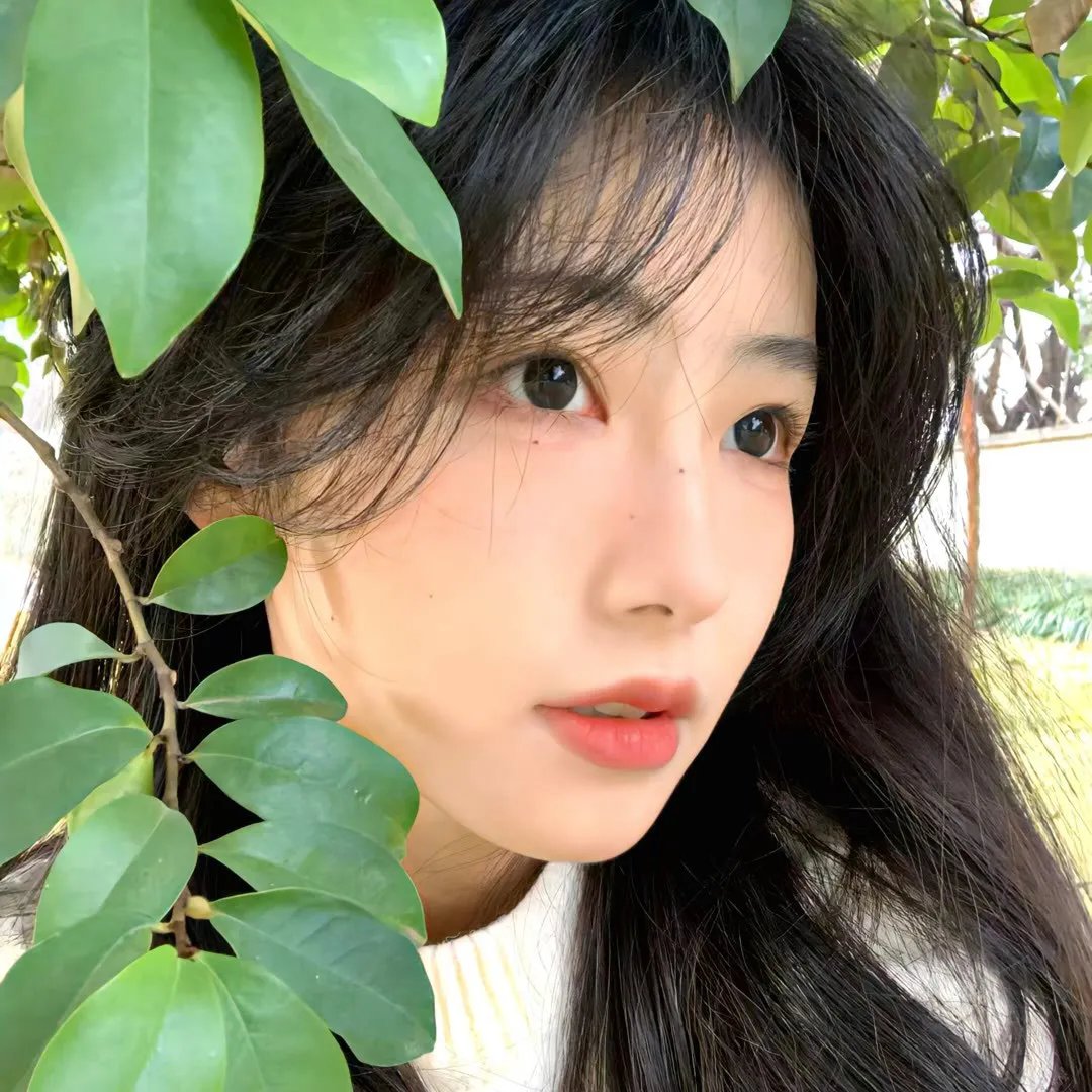 布鲁明顿